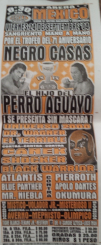 source: http://www.thecubsfan.com/cmll/images/Checked/2013-09-15%2023.43.27.jpg