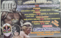 source: http://www.thecubsfan.com/cmll/images/Checked/2013-09-16%2002.55.28.jpg