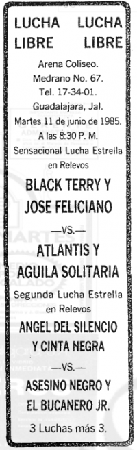 source: http://www.thecubsfan.com/cmll/images/cards/19850611acg.PNG