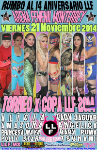 source: http://luchamaniamonterrey.com/wp-content/uploads/2014/11/24-CartelLLF21Nov2014page.jpg