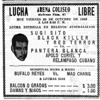 source: http://www.thecubsfan.com/cmll/images/cards/19661028acg.PNG