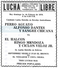 source: http://www.thecubsfan.com/cmll/images/cards/19760201acg.PNG