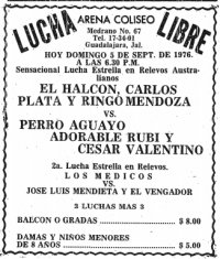 source: http://www.thecubsfan.com/cmll/images/cards/19760905acg.PNG