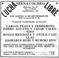 source: http://www.thecubsfan.com/cmll/images/cards/19760914acg.PNG