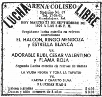 source: http://www.thecubsfan.com/cmll/images/cards/19760921acg.PNG