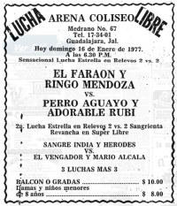 source: http://www.thecubsfan.com/cmll/images/cards/19770116acg.PNG
