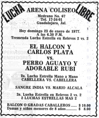 source: http://www.thecubsfan.com/cmll/images/cards/19770123acg.PNG