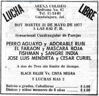 source: http://www.thecubsfan.com/cmll/images/cards/19770531acg.PNG