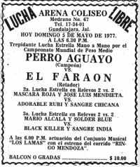 source: http://www.thecubsfan.com/cmll/images/cards/19770605acg.PNG