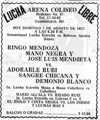 source: http://www.thecubsfan.com/cmll/images/cards/19770807acg.PNG