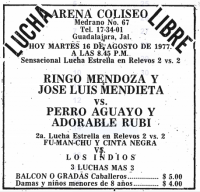 source: http://www.thecubsfan.com/cmll/images/cards/19770816acg.PNG