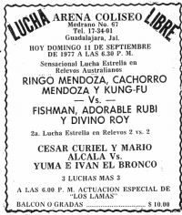 source: http://www.thecubsfan.com/cmll/images/cards/19770911acg.PNG