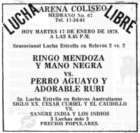 source: http://www.thecubsfan.com/cmll/images/cards/19780117acg.PNG