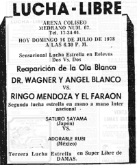 source: http://www.thecubsfan.com/cmll/images/cards/19780716acg.PNG