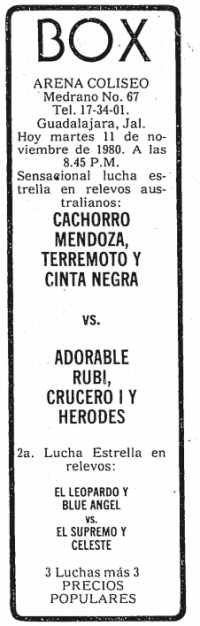 source: http://www.thecubsfan.com/cmll/images/cards/19801111acg.PNG