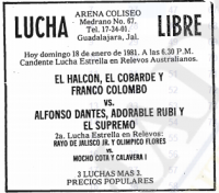source: http://www.thecubsfan.com/cmll/images/cards/19810118acg.PNG