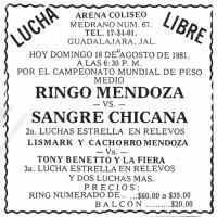 source: http://www.thecubsfan.com/cmll/images/cards/19810816acg.PNG