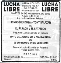 source: http://www.thecubsfan.com/cmll/images/cards/19811124acg.PNG