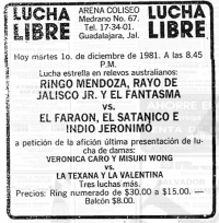 source: http://www.thecubsfan.com/cmll/images/cards/19811201acg.PNG