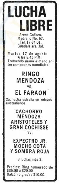 source: http://www.thecubsfan.com/cmll/images/cards/19820817acg.PNG