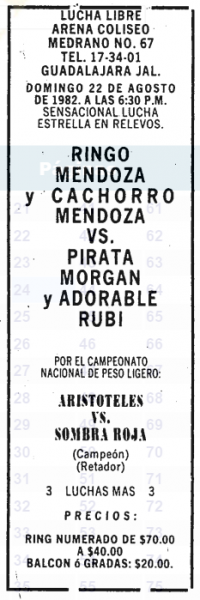 source: http://www.thecubsfan.com/cmll/images/cards/19820822acg.PNG