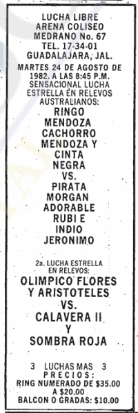 source: http://www.thecubsfan.com/cmll/images/cards/19820824acg.PNG