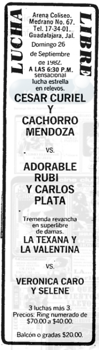 source: http://www.thecubsfan.com/cmll/images/cards/19820926acg.PNG