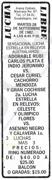 source: http://www.thecubsfan.com/cmll/images/cards/19820928acg.PNG