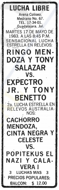 source: http://www.thecubsfan.com/cmll/images/cards/19830517acg.PNG