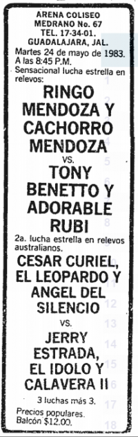 source: http://www.thecubsfan.com/cmll/images/cards/19830524acg.PNG