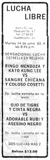 source: http://www.thecubsfan.com/cmll/images/cards/19830614acg.PNG