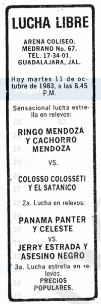 source: http://www.thecubsfan.com/cmll/images/cards/19831011acg.PNG