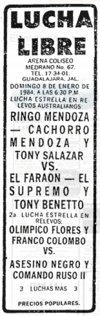 source: http://www.thecubsfan.com/cmll/images/cards/19840108acg.PNG
