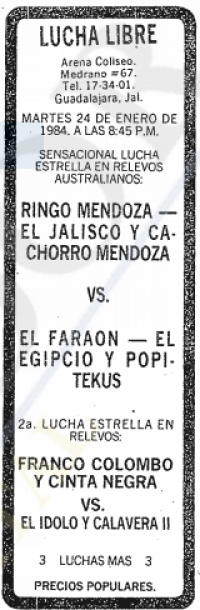source: http://www.thecubsfan.com/cmll/images/cards/19840124acg.PNG
