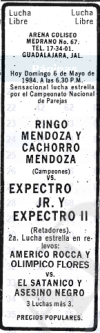 source: http://www.thecubsfan.com/cmll/images/cards/19840506acg.PNG