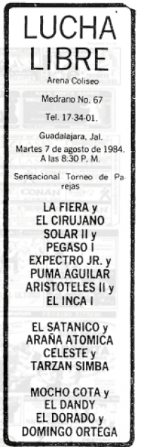 source: http://www.thecubsfan.com/cmll/images/cards/19840807acg.PNG