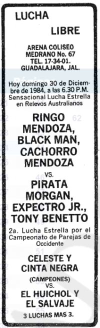source: http://www.thecubsfan.com/cmll/images/cards/19841230acg.PNG