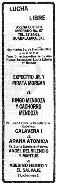 source: http://www.thecubsfan.com/cmll/images/cards/19850101acg.PNG