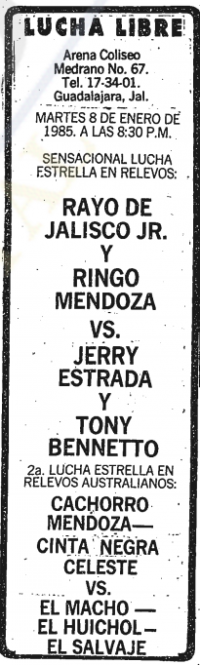 source: http://www.thecubsfan.com/cmll/images/cards/19850108acg.PNG