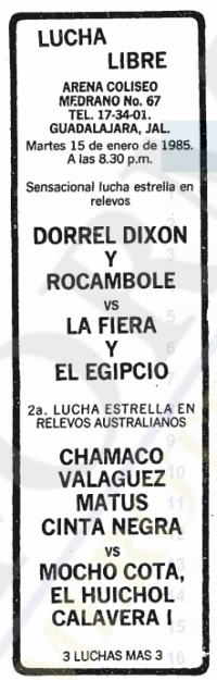 source: http://www.thecubsfan.com/cmll/images/cards/19850115acg.PNG