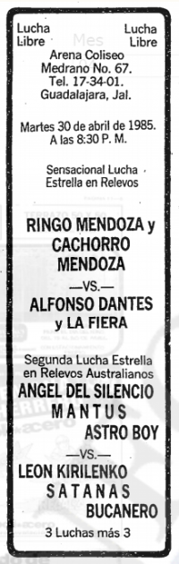 source: http://www.thecubsfan.com/cmll/images/cards/19850430acg.PNG