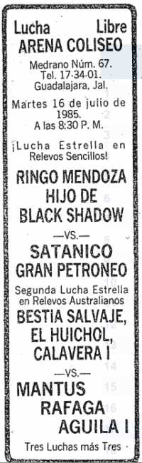 source: http://www.thecubsfan.com/cmll/images/cards/19850716acg.PNG