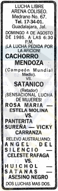 source: http://www.thecubsfan.com/cmll/images/cards/19850804acg.PNG