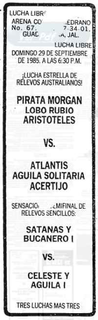 source: http://www.thecubsfan.com/cmll/images/cards/19850929acg.PNG
