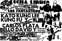 source: http://www.thecubsfan.com/cmll/images/cards/1985Laguna/19850620aol.png