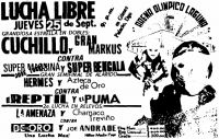 source: http://www.thecubsfan.com/cmll/images/cards/1985Laguna/19860925aol.png