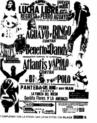 source: http://www.thecubsfan.com/cmll/images/cards/1985Laguna/19870528aol.png