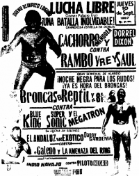 source: http://www.thecubsfan.com/cmll/images/cards/1985Laguna/19870910aol.png