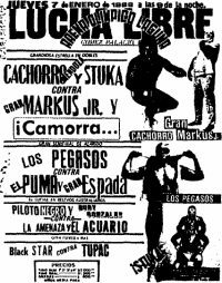 source: http://www.thecubsfan.com/cmll/images/cards/1985Laguna/19880107aol.png