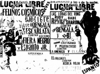 source: http://www.thecubsfan.com/cmll/images/cards/1985Laguna/19880324aol.png